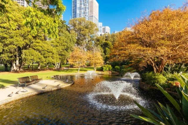 Treasury gardens in East Melbourne